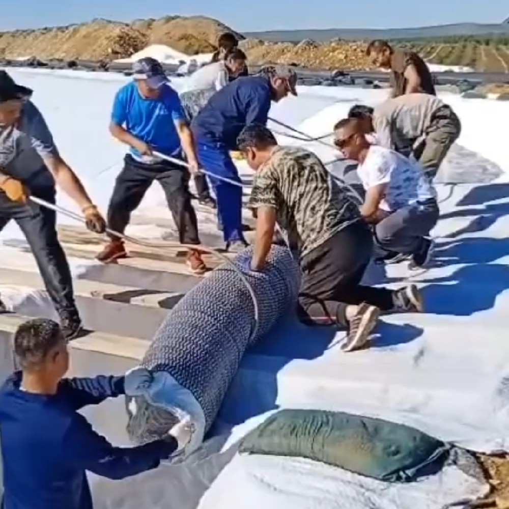 5000g膨润土防水毯
