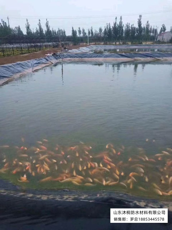 微信图片_20260705144955_97_4.jpg