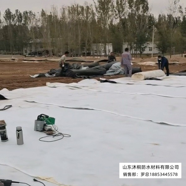 微信图片_20260712155605_14_80.jpg