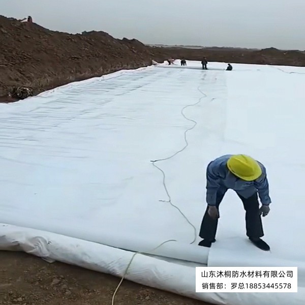 微信图片_20260712155614_22_80.jpg
