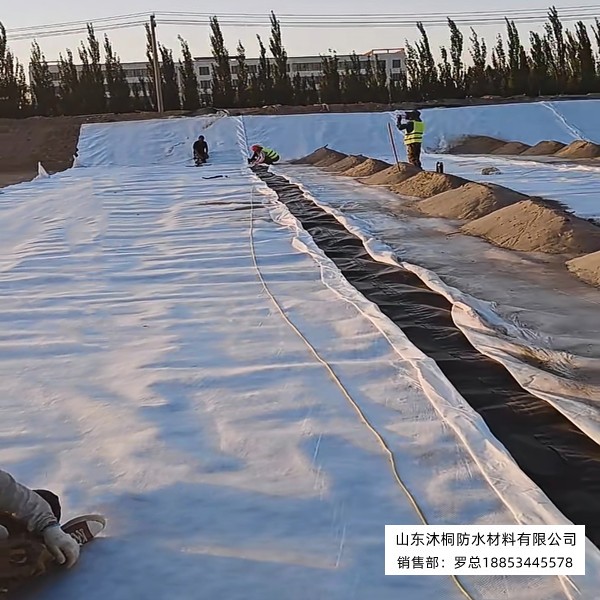 微信图片_20260713090955_3_80.jpg