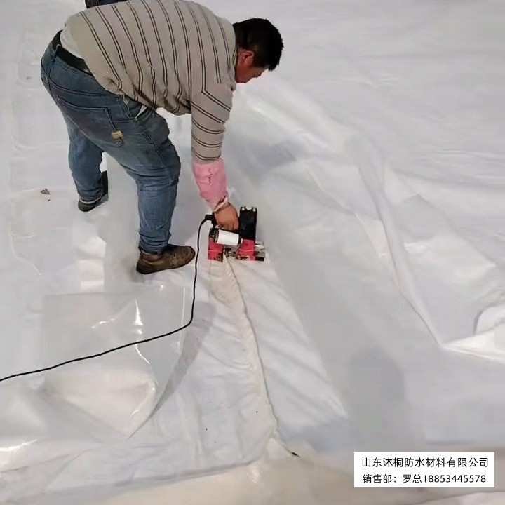 复合膜4.jpg