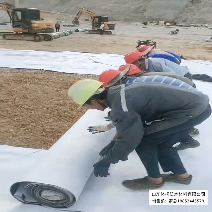 复合膜2.jpg