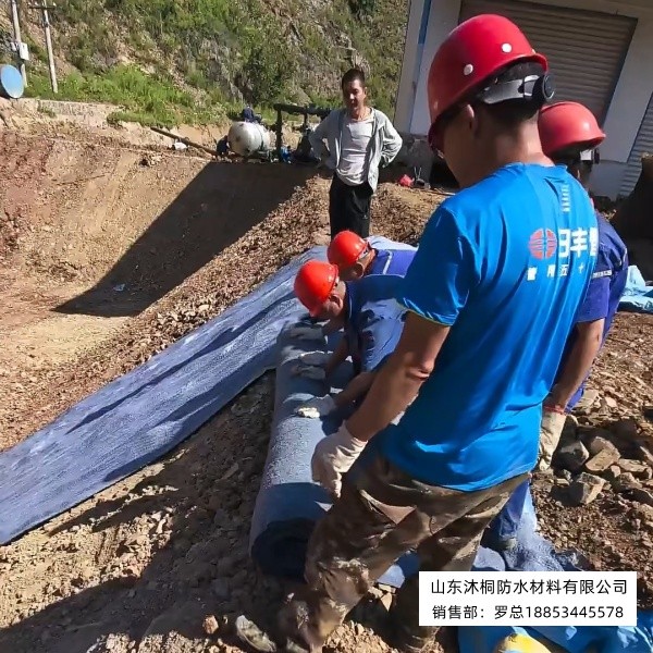 微信图片_20260908100432_35_80.jpg