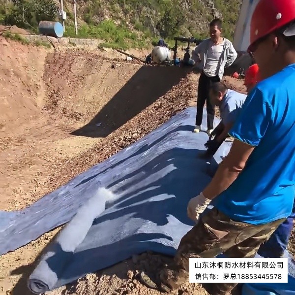 微信图片_20260908100433_36_80.jpg
